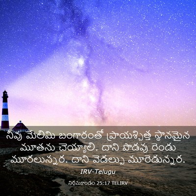 Picture 03 - నిర్గమకాండం 25:17 TELIRV - నీవు మేలిమి - Bible Verse Picture