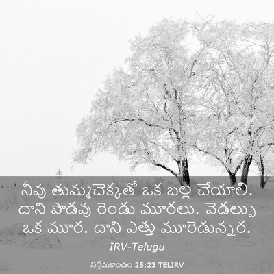 Picture 03 - నిర్గమకాండం 25:23 TELIRV - నీవు తుమ్మచెక్కతో - Bible Verse Picture