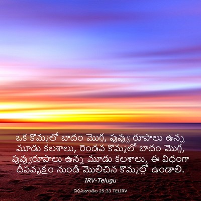 Picture 03 - నిర్గమకాండం 25:33 TELIRV - ఒక కొమ్మలో బాదం - Bible Verse Picture