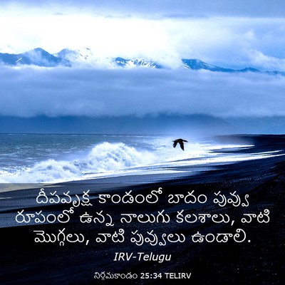 Picture 03 - నిర్గమకాండం 25:34 TELIRV - దీపవృక్ష కాండంలో - Bible Verse Picture