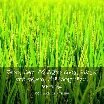 Picture 03 - నిర్గమకాండం 25:4 TELIRV - నీలం, ఊదా రక్త - Bible Verse Picture
