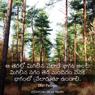 Picture 03 - నిర్గమకాండం 26:12 TELIRV - ఆ తెరల్లో మిగిలిన - Bible Verse Picture