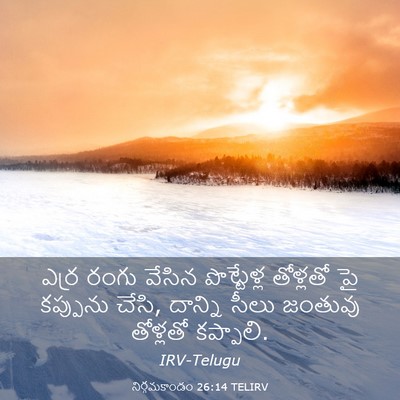 Picture 03 - నిర్గమకాండం 26:14 TELIRV - ఎర్ర రంగు వేసిన - Bible Verse Picture