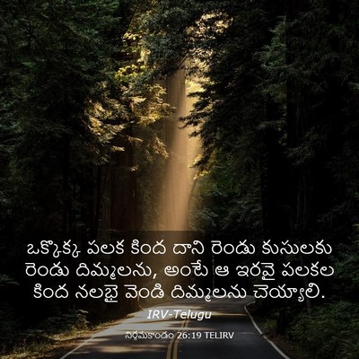 Picture 03 - నిర్గమకాండం 26:19 TELIRV - ఒక్కొక్క పలక కింద - Bible Verse Picture