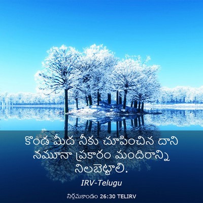Picture 03 - నిర్గమకాండం 26:30 TELIRV - కొండ మీద నీకు - Bible Verse Picture