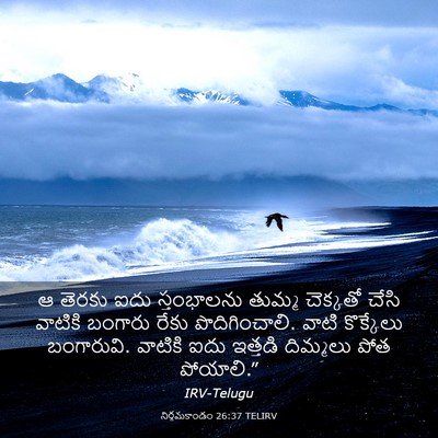 Picture 03 - నిర్గమకాండం 26:37 TELIRV - ఆ తెరకు ఐదు - Bible Verse Picture