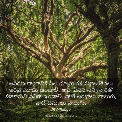 Picture 03 - నిర్గమకాండం 27:16 TELIRV - ఆవరణ ద్వారానికి - Bible Verse Picture