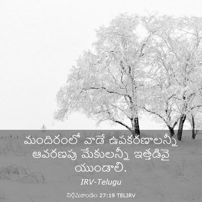 Picture 03 - నిర్గమకాండం 27:19 TELIRV - మందిరంలో వాడే - Bible Verse Picture