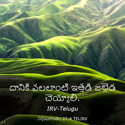 Picture 03 - నిర్గమకాండం 27:4 TELIRV - దానికి వలలాంటి - Bible Verse Picture