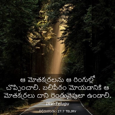 Picture 03 - నిర్గమకాండం 27:7 TELIRV - ఆ మోతకర్రలను ఆ - Bible Verse Picture