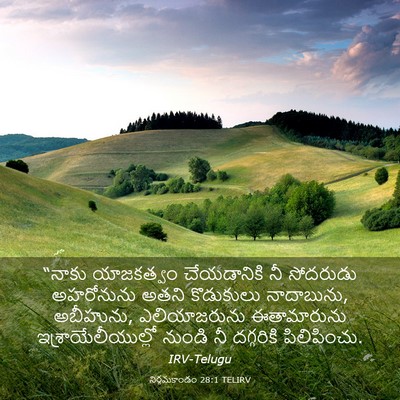 Picture 03 - నిర్గమకాండం 28:1 TELIRV - “నాకు యాజకత్వం - Bible Verse Picture