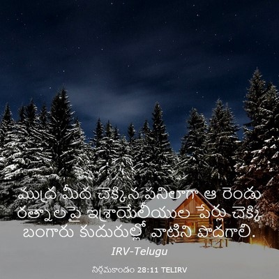 Picture 03 - నిర్గమకాండం 28:11 TELIRV - ముద్ర మీద చెక్కిన - Bible Verse Picture