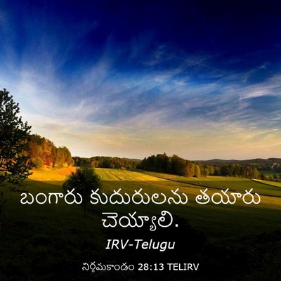 Picture 03 - నిర్గమకాండం 28:13 TELIRV - బంగారు కుదురులను - Bible Verse Picture