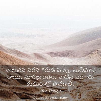 Picture 03 - నిర్గమకాండం 28:20 TELIRV - నాలుగవ వరస గరుడ - Bible Verse Picture
