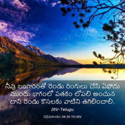Picture 03 - నిర్గమకాండం 28:26 TELIRV - నీవు బంగారంతో - Bible Verse Picture