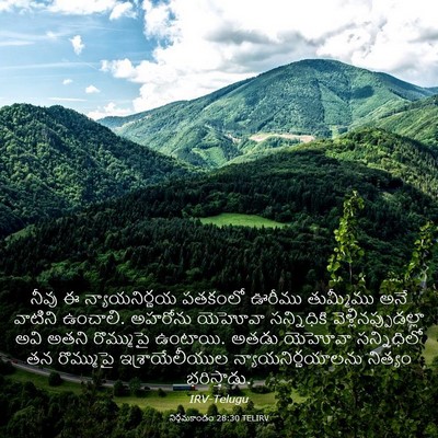 Picture 03 - నిర్గమకాండం 28:30 TELIRV - నీవు ఈ - Bible Verse Picture