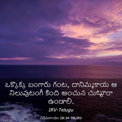 Picture 03 - నిర్గమకాండం 28:34 TELIRV - ఒక్కొక్క బంగారు - Bible Verse Picture