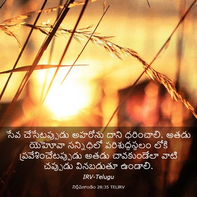 Picture 03 - నిర్గమకాండం 28:35 TELIRV - సేవ చేసేటప్పుడు - Bible Verse Picture