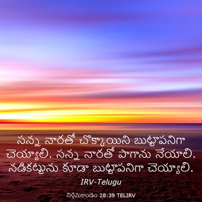 Picture 03 - నిర్గమకాండం 28:39 TELIRV - సన్న నారతో - Bible Verse Picture