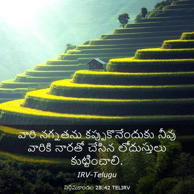 Picture 03 - నిర్గమకాండం 28:42 TELIRV - వారి నగ్నతను - Bible Verse Picture