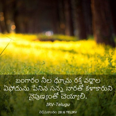Picture 03 - నిర్గమకాండం 28:6 TELIRV - బంగారం నీల ధూమ్ర - Bible Verse Picture