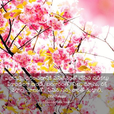 Picture 03 - నిర్గమకాండం 28:8 TELIRV - ఏఫోదుపై - Bible Verse Picture