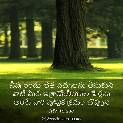 Picture 03 - నిర్గమకాండం 28:9 TELIRV - నీవు రెండు లేత - Bible Verse Picture
