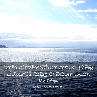 Picture 03 - నిర్గమకాండం 29:1 TELIRV - “నాకు - Bible Verse Picture