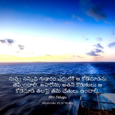 Picture 03 - నిర్గమకాండం 29:10 TELIRV - నువ్వు సన్నిధి - Bible Verse Picture