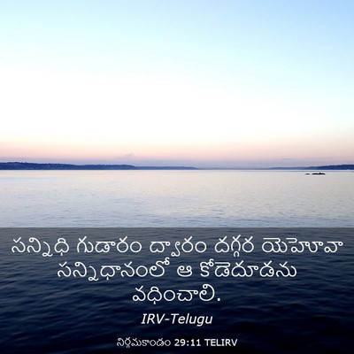 Picture 03 - నిర్గమకాండం 29:11 TELIRV - సన్నిధి గుడారం - Bible Verse Picture