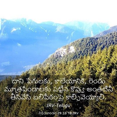 Picture 03 - నిర్గమకాండం 29:13 TELIRV - దాని పేగులకు, - Bible Verse Picture