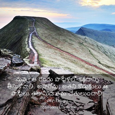 Picture 03 - నిర్గమకాండం 29:15 TELIRV - నువ్వు ఆ రెండు - Bible Verse Picture