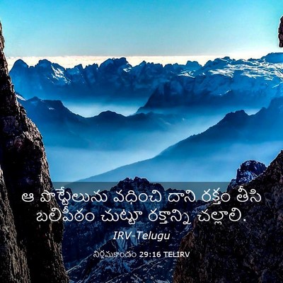 Picture 03 - నిర్గమకాండం 29:16 TELIRV - ఆ పొట్టేలును - Bible Verse Picture