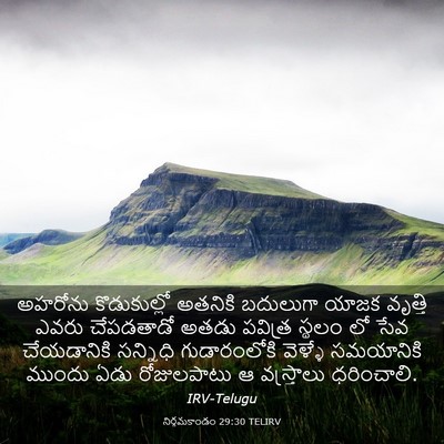 Picture 03 - నిర్గమకాండం 29:30 TELIRV - అహరోను కొడుకుల్లో - Bible Verse Picture