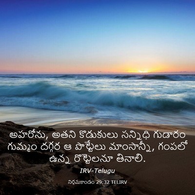 Picture 03 - నిర్గమకాండం 29:32 TELIRV - అహరోను, అతని - Bible Verse Picture