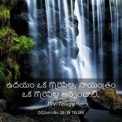 Picture 03 - నిర్గమకాండం 29:39 TELIRV - ఉదయం ఒక - Bible Verse Picture