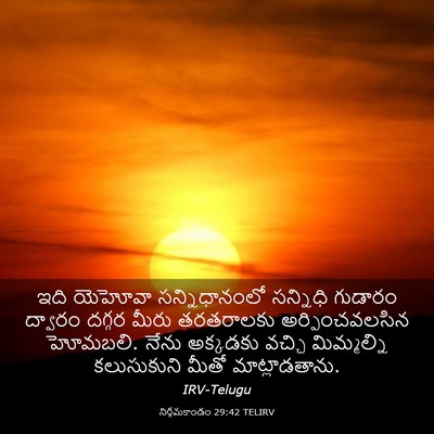 Picture 03 - నిర్గమకాండం 29:42 TELIRV - ఇది యెహోవా - Bible Verse Picture