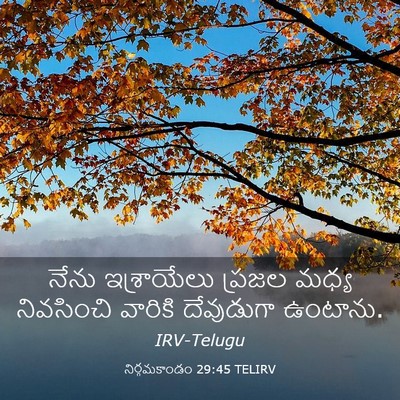 Picture 03 - నిర్గమకాండం 29:45 TELIRV - నేను ఇశ్రాయేలు - Bible Verse Picture