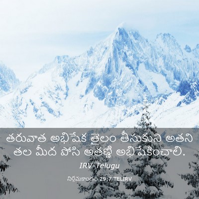 Picture 03 - నిర్గమకాండం 29:7 TELIRV - తరువాత అభిషేక - Bible Verse Picture