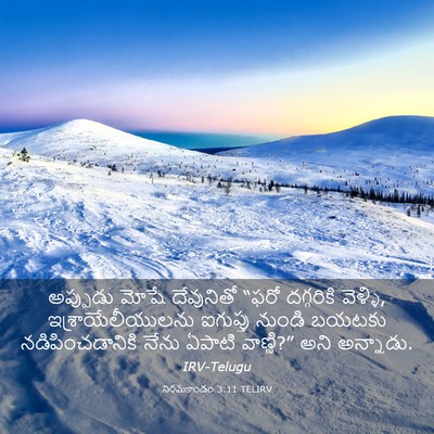 Picture 03 - నిర్గమకాండం 3:11 TELIRV - అప్పుడు మోషే - Bible Verse Picture