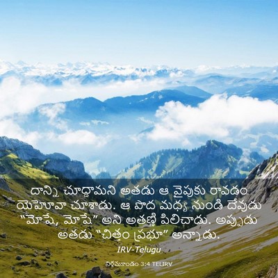 Picture 03 - నిర్గమకాండం 3:4 TELIRV - దాన్ని చూద్దామని - Bible Verse Picture