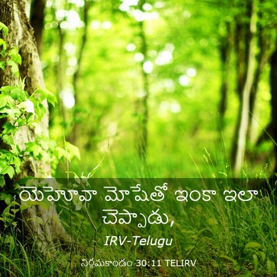 Picture 03 - నిర్గమకాండం 30:11 TELIRV - యెహోవా మోషేతో - Bible Verse Picture