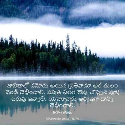 Picture 03 - నిర్గమకాండం 30:13 TELIRV - జాబితాలో నమోదు - Bible Verse Picture