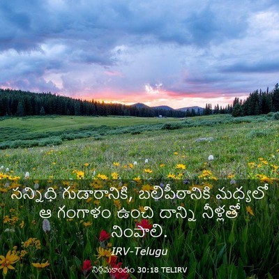 Picture 03 - నిర్గమకాండం 30:18 TELIRV - సన్నిధి - Bible Verse Picture