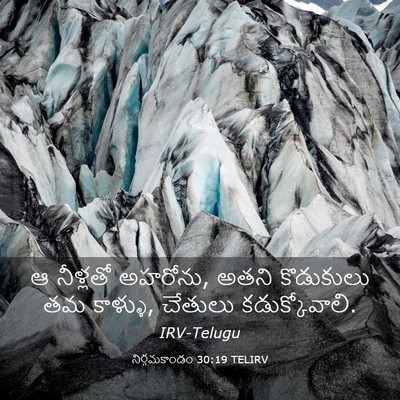 Picture 03 - నిర్గమకాండం 30:19 TELIRV - ఆ నీళ్లతో అహరోను, - Bible Verse Picture