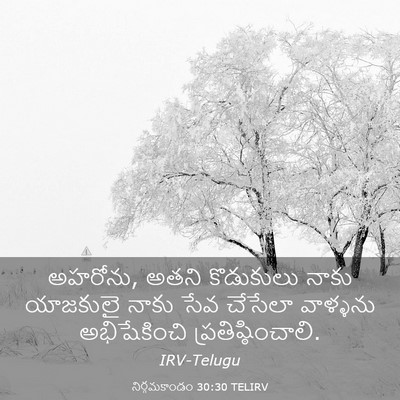 Picture 03 - నిర్గమకాండం 30:30 TELIRV - అహరోను, అతని - Bible Verse Picture