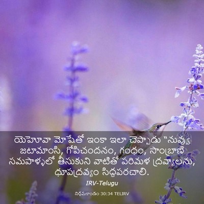 Picture 03 - నిర్గమకాండం 30:34 TELIRV - యెహోవా మోషేతో - Bible Verse Picture