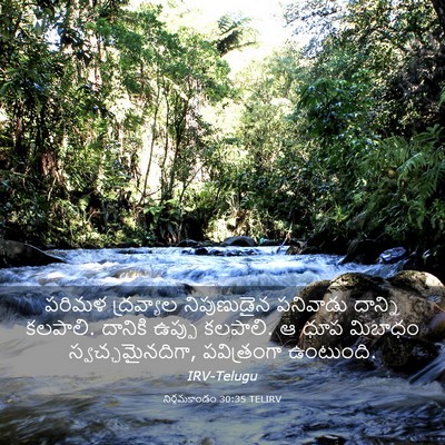 Picture 03 - నిర్గమకాండం 30:35 TELIRV - పరిమళ ద్రవ్యాల - Bible Verse Picture