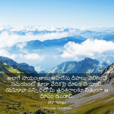 Picture 03 - నిర్గమకాండం 30:8 TELIRV - అలాగే సాయంత్రాలు - Bible Verse Picture