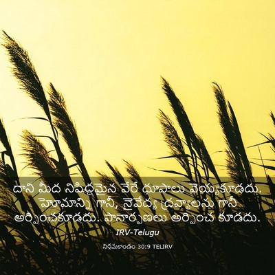Picture 03 - నిర్గమకాండం 30:9 TELIRV - దాని మీద - Bible Verse Picture